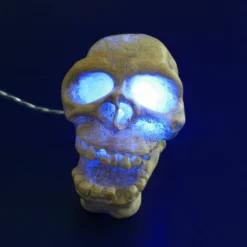 ARCADIA Totenkopf Weiß Mit Einsatz Für LED-Aquarienstrahler -Hobby Verkäufe CAD25WAF 1 3