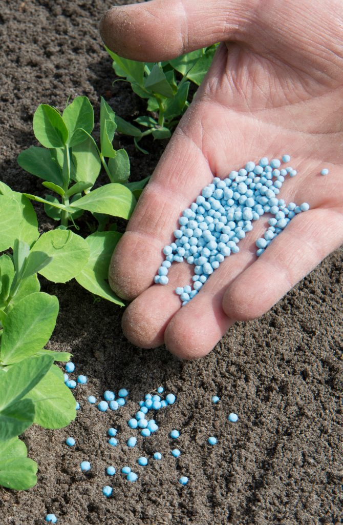 Titelseite -Hobby Verkäufe Fertilizer canva 1 1 670x1024 1