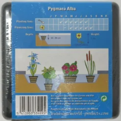 Anzucht-Set Weiße Zwerg-Seerose / Nymphaea Pygmaea Alba (tetragona) Miniseerose -Hobby Verkäufe GT2010wf 1 3