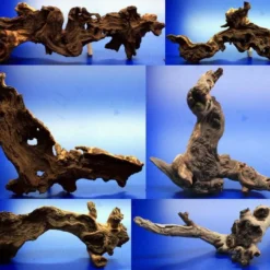 Mopani-Wurzel 40-50 Cm / Eisenholz Zwei-farbig Gr.XL