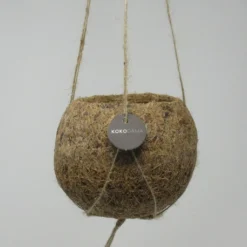 Kokodama-Ampel - Ø 12 Cm - Hängender Blumentopf