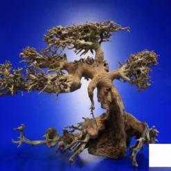 Aqua-Bonsai Wurzel Medium - Aquascaping Drachenbaum Traumwurzel Mittel -Hobby Verkäufe PH065 AO 1 6 3