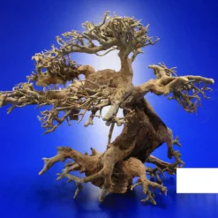 Aqua-Bonsai Wurzel Small - Aquascaping Drachenbaum Traumwurzel Klein -Hobby Verkäufe PH065 AO 1 8