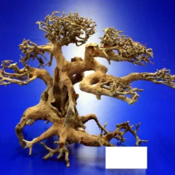 Aqua-Bonsai Wurzel NANO - Aquascaping Drachenbaum Traumwurzel XS -Hobby Verkäufe PH065 AO 1 9 2