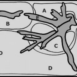 Unterwasser-Landschaft Moosbogen Für 30 Liter Nano Cube