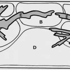 Unterwasser-Landschaft Moosbrücke Für 300 Liter Aquarium -Hobby Verkäufe S1 060wf 1 2 2