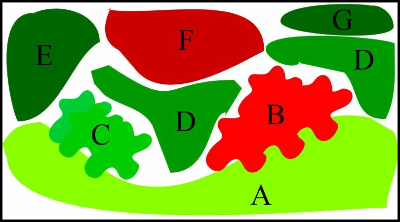 Unterwasser-Landschaft Lotuswelt Für Ein 60 Liter Aquarium 4 Unterwasser-Landschaft Lotuswelt Für Ein 60 Liter Aquarium – Bild 2