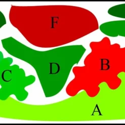 Unterwasser-Landschaft Lotuswelt Für Ein 200 Liter Aquarium 5 Unterwasser-Landschaft Lotuswelt Für Ein 200 Liter Aquarium -Hobby Verkäufe S2 060wf 1 2 5