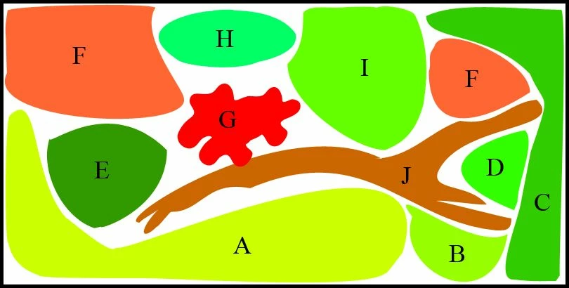 Unterwasser-Landschaft Diskus-Traum Für Ein 500 Liter Aquarium 3 Unterwasser-Landschaft Diskus-Traum Für Ein 500 Liter Aquarium