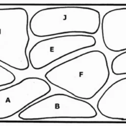 Unterwasser-Landschaft Holland-Aquarium Für Ein 400 Liter Aquarium -Hobby Verkäufe S4 200wf 1 2 6