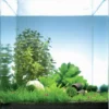 Pantanal Bay 10 Liter - Pflanzenlandschaft Für Einen 10 Liter Nano Cube -Hobby Verkäufe S9182DE 1 1