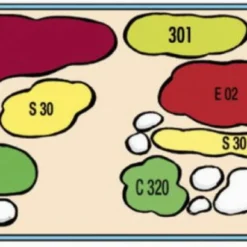 Kupfer Salmler - Pflanzenlandschaft Für Ein 160-200 Liter Aquarium 5 Kupfer Salmler - Pflanzenlandschaft Für Ein 160-200 Liter Aquarium -Hobby Verkäufe S9264DE 1 3