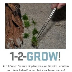 1-2-GROW! Zwergkleeblatt / Marsilea Hirsuta Von TROPICA -Hobby Verkäufe T010TC T 1 4
