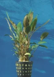 Titelseite -Hobby Verkäufe T037BL 1 6