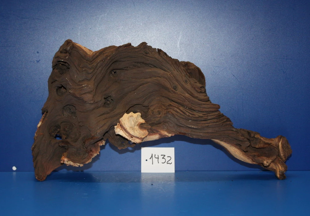 Zweifarbige Traumwurzel #1432 Eisenholz/Mopani-Wurzel 40x22x14 3 Zweifarbige Traumwurzel #1432 Eisenholz/Mopani-Wurzel 40x22x14
