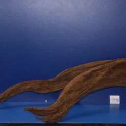 6XL Mangroven-Wurzel 134x27x60 Unikat - Traumwurzel #1440