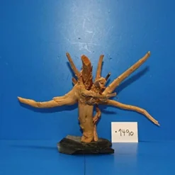 XL Rote Moorwurzel / Moorkienholz 28x19x23 Traumwurzel #1490 Auf Schiefer