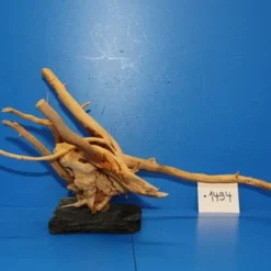 XL Rote Moorwurzel / Moorkienholz 38x19x24 Traumwurzel #1494 Auf Schiefer