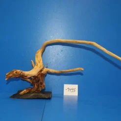 XL Rote Moorwurzel / Moorkienholz 41x22x25 Traumwurzel #1495 Auf Schiefer