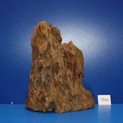 XL Mangroven-Wurzel 30x35x20 Unikat - Traumwurzel #1527