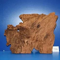 XL Mangroven-Wurzel 42x31x16 Unikat - Traumwurzel #1536