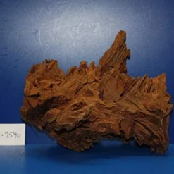 XL Mangroven-Wurzel 30x24x22 Unikat - Traumwurzel #1540