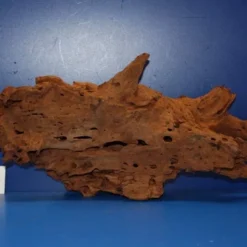 XL Mangroven-Wurzel 44x21x13 Unikat - Traumwurzel #1554