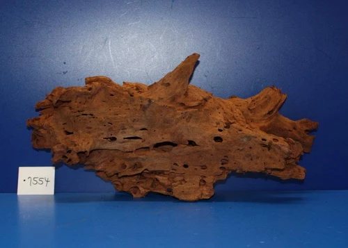 XL Mangroven-Wurzel 44x21x13 Unikat - Traumwurzel #1554 3 XL Mangroven-Wurzel 44x21x13 Unikat - Traumwurzel #1554