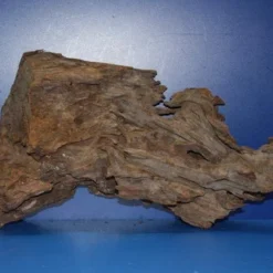 XL Mangroven-Wurzel 41x25x16 Unikat - Traumwurzel #1555