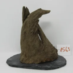 XL Scaper Wurzel 19x18x15 Traumwurzel #1563 Auf Schiefer