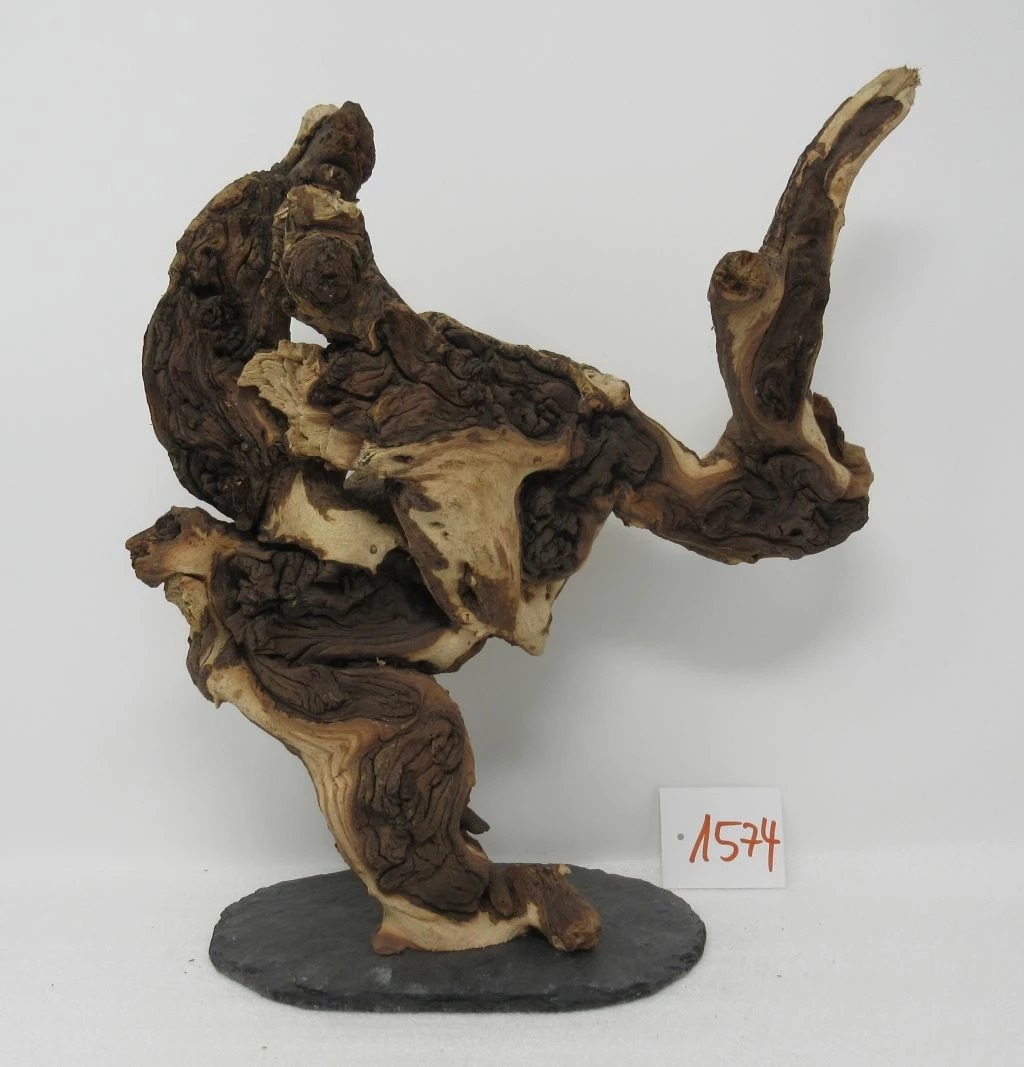 XXL Eisenholz/Mopani-Wurzel 29x30x16 Zweifarbige Traumwurzel #1574 Auf Schiefer 3 XXL Eisenholz/Mopani-Wurzel 29x30x16 Zweifarbige Traumwurzel #1574 Auf Schiefer