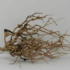 XL Thailand Zweig / Wurzel 35x14x14 Traumwurzel #1577