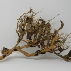 XL Thailand Zweig / Wurzel 39x25x18 Traumwurzel #1580