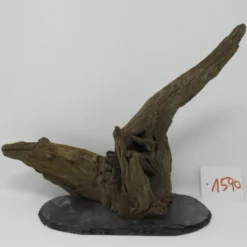 XL Scaper Wurzel 26x20x15 Traumwurzel #1590 Auf Schiefer