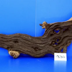 Zweifarbige Traumwurzel #830 Eisenholz/Mopani-Wurzel 41x23x11