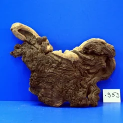 Zweifarbige Traumwurzel #959 Eisenholz/Mopani-Wurzel 34x26x13