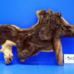 Zweifarbige Traumwurzel #963 Eisenholz/Mopani-Wurzel 39x26x11