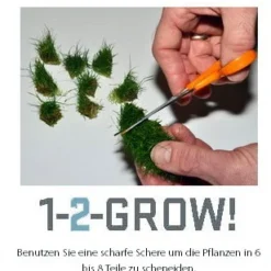 1-2-GROW! Mato-Grosso-Tausendblatt / Myriophyllum Mattogrossense Von TROPICA -Hobby Verkäufe oD037TC T 1 3