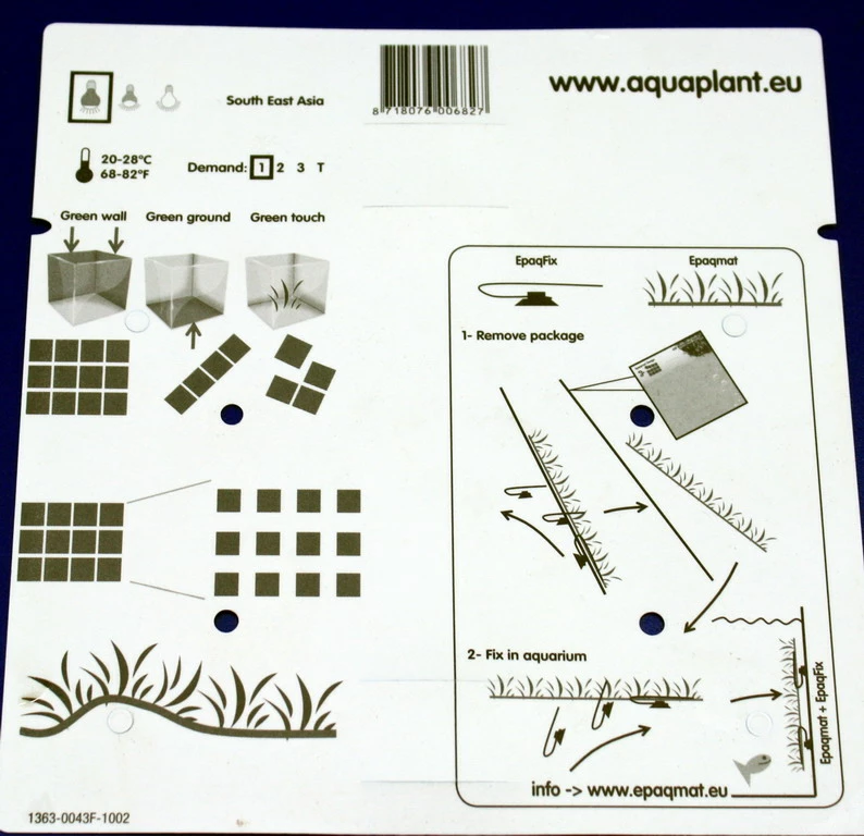 Green-Wall XL Javafarn / Microsorum Pteropus Auf Matte Ca. 170x140 Mm 7 Green-Wall XL Javafarn / Microsorum Pteropus Auf Matte Ca. 170x140 Mm – Bild 5